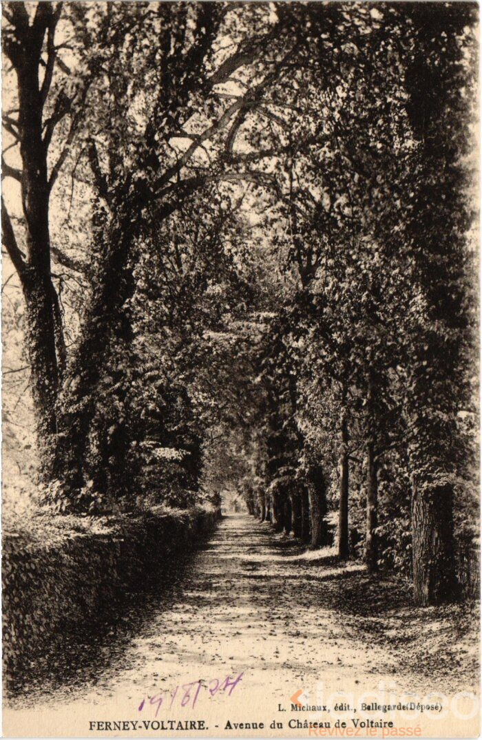 Avenue du Château de Voltaire